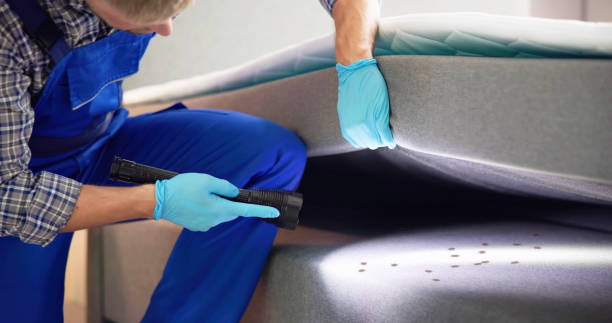 Best Pest Prevention Services  in Palm Valley, FL