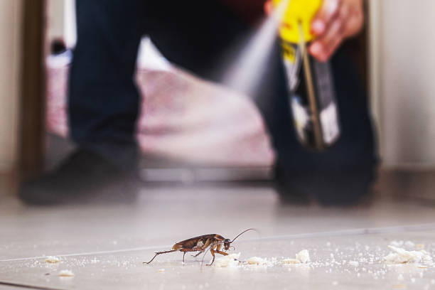 Best Emergency Pest Control  in Palm Valley, FL