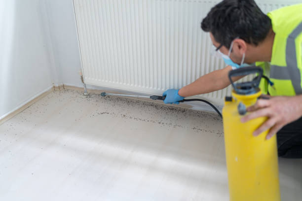 Best Best Pest Control Companies  in Palm Valley, FL