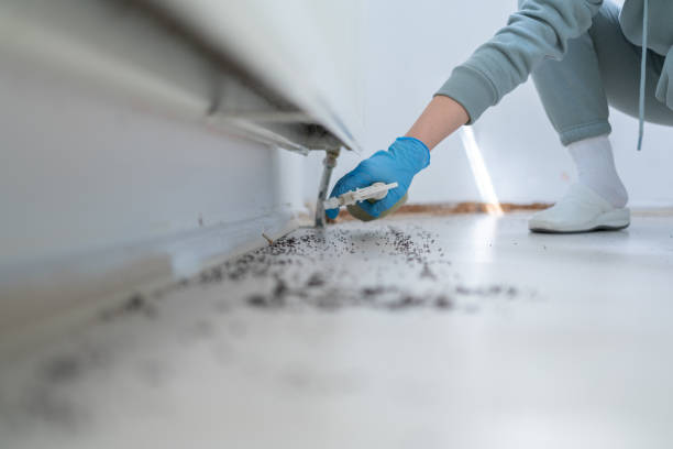 Trusted Palm Valley, FL Pest Control Experts